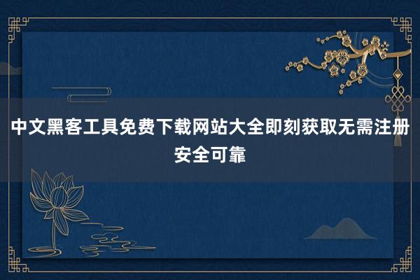 中文黑客工具免费下载网站大全即刻获取无需注册安全可靠